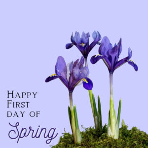 First Day of Spring