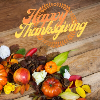 Happy Thanksgiving