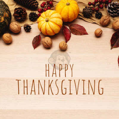 Happy Thanksgiving