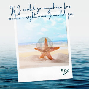 If you could go anywhere where would you go?
