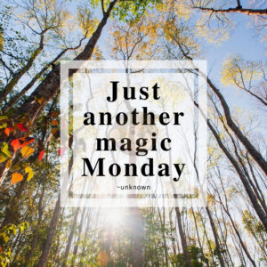 Motivational Quote: Magic Monday