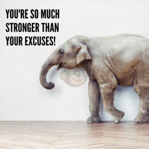 Motivational Quote: Excuses