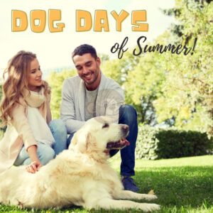 Dog Days of Summer