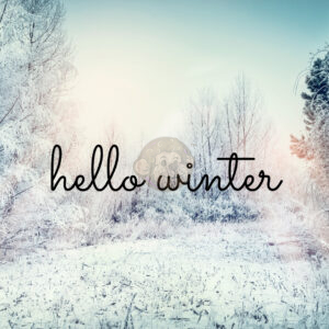 Hello Winter