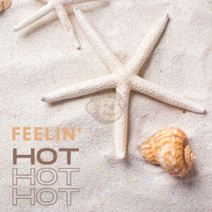 Summer Fun - Feeling Hot
