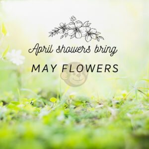 April Showers Bring May Flowers