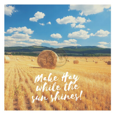 Make Hay While The Sunshines.