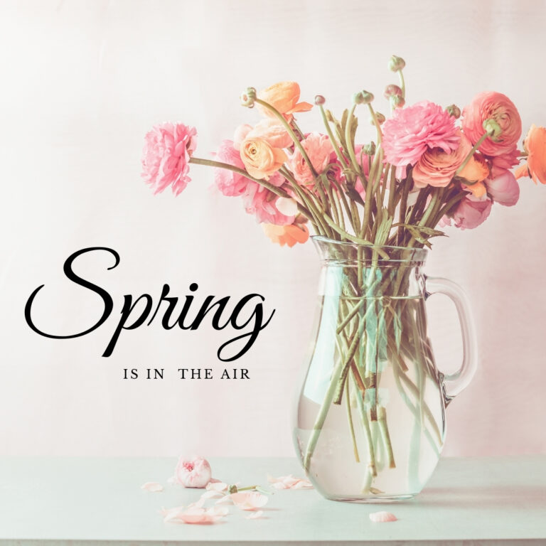 springinair