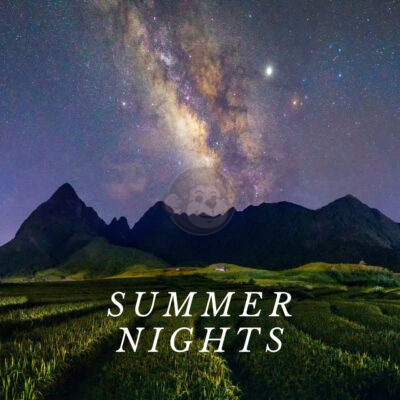 Summer Nights