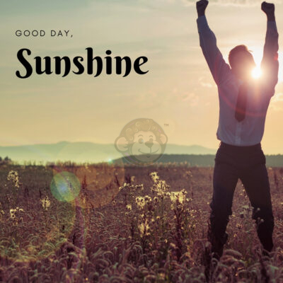 Hello Summer Sunshine