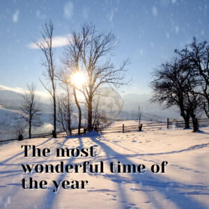 Wonderful time of the year
