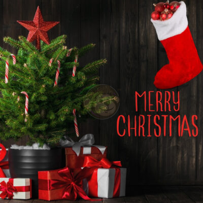 Merry Christmas