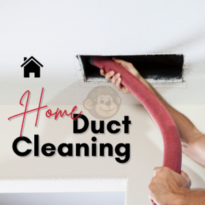 Home duct cleaning