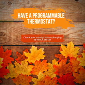 Programmable Thermostat