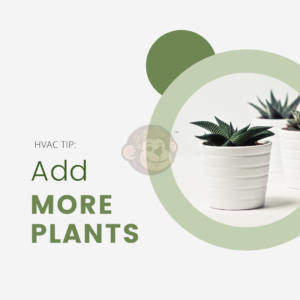 HVAC Tip: Add more plants