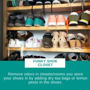 Home Tips: Funky Shoe Closet