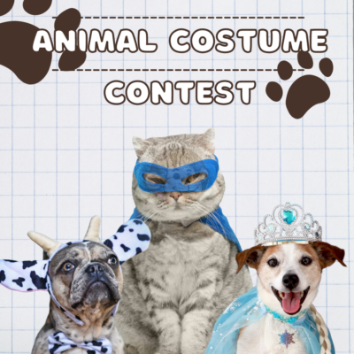 Animal costume contest
