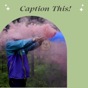 Caption this contest